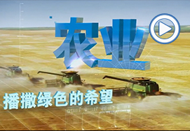 &#20061;&#24030;&#32593;&#95;&#20061;&#24030;&#65288;&#20013;&#22269;&#65289;